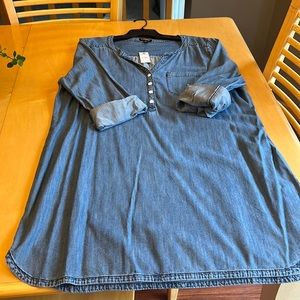 Express denim Dress